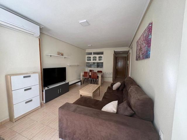 Casa en alquiler en Casco Antiguo - Santa Cruz - Ayuntamiento, l'Alacantí