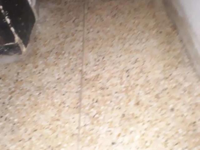 Apartment for rent in North Waziristan, Federally Administered Tribal Areas fata