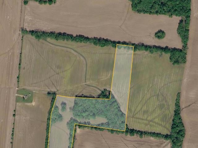 Land for sale in Covington, West Tennessee
