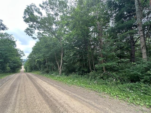 Land for sale in New York