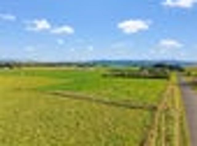 Land for sale