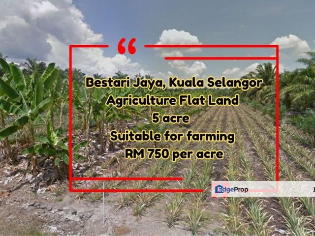 Shop for rent in Kuala Selangor, Selangor
