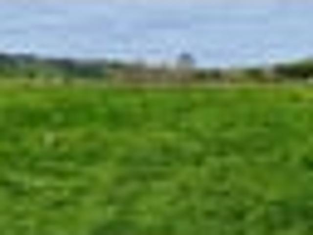 Land for sale in Kawau Island