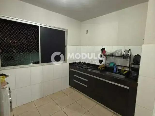 Flat aluguel em Região Geográfica Imediata de Uberlândia, Oliveira Fortes