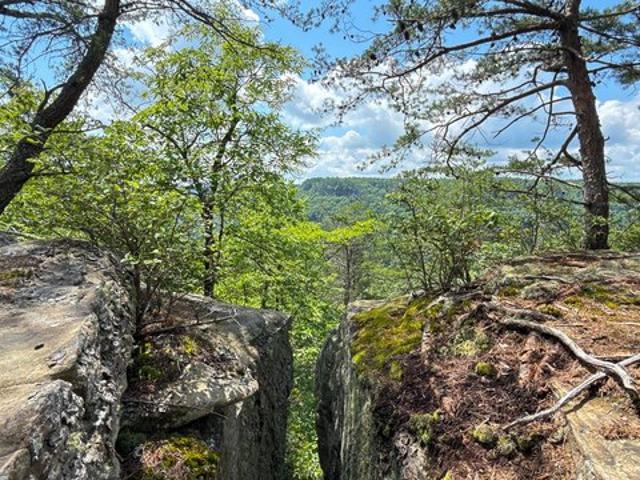 Farm for sale in Tennessee