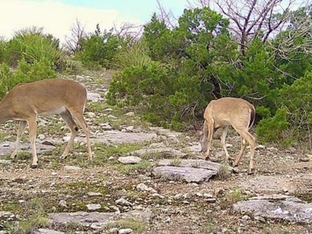 Land for sale in Del Rio, Texas