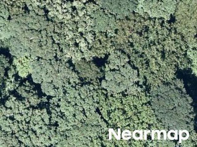 Land for sale in Georgia