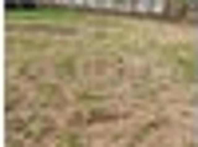 Land for sale in Waihi, Waikato