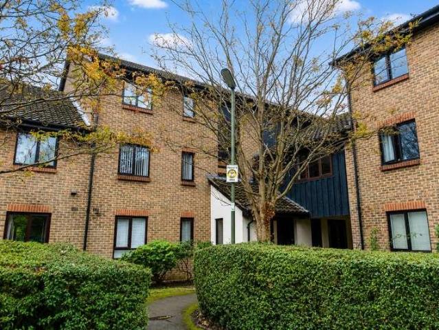 Apartment for rent in Red Hill, Surrey