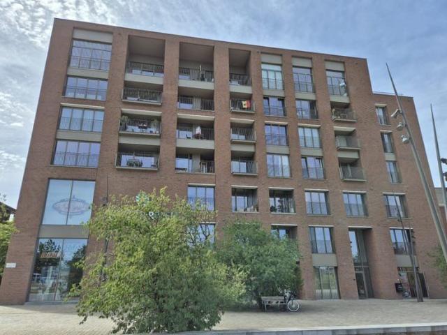 Kot location à Hasselt, Limburg
