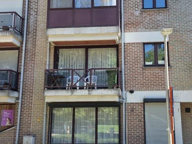 Kot location à Hasselt, Limburg