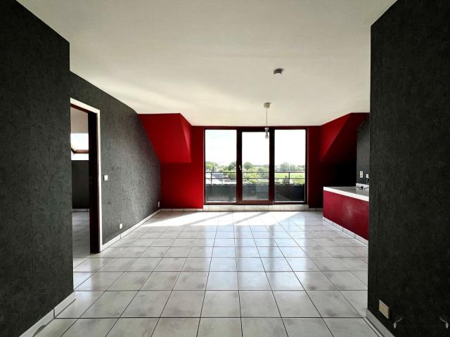 Kot location à Dendermonde, Oost-Vlaanderen