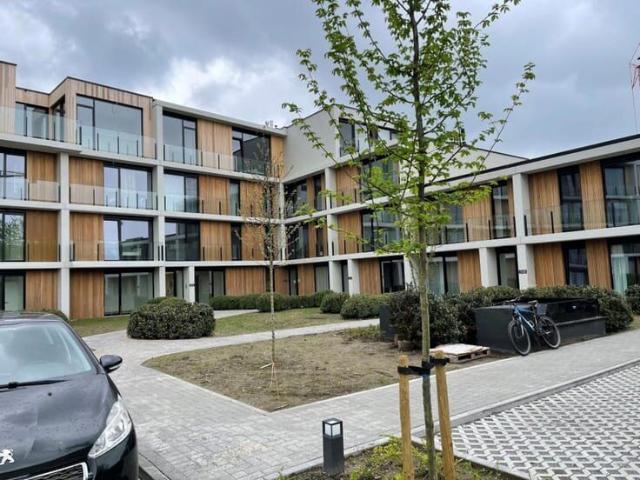 Kot location à Beveren-waes, Oost-Vlaanderen