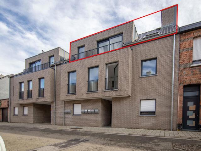Appartement location à Lamifil N.V., Hemiksem