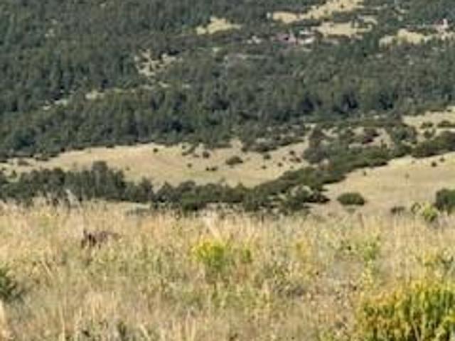 Land for sale in Canon City, Colorado