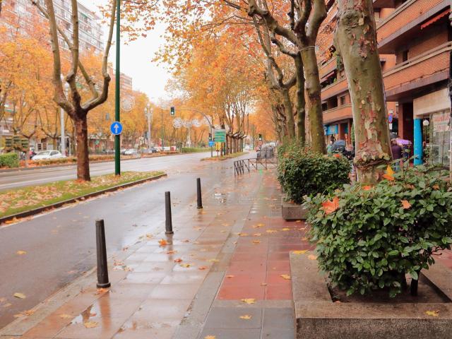 Apartamento en alquiler en Centro, Zaragoza