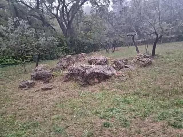 Terrain vente à Arrondissement de Draguignan, Flayosc