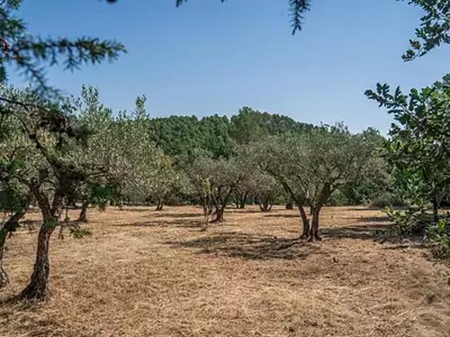 Terrain vente à Arrondissement de Draguignan, Flayosc