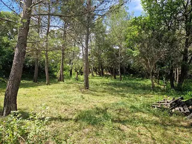 Terrain vente à Arrondissement de Draguignan, Flayosc