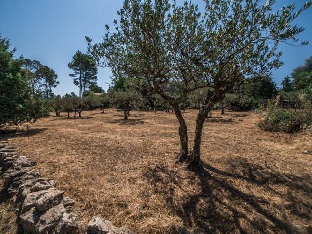 Terrain vente à Arrondissement de Draguignan, Flayosc