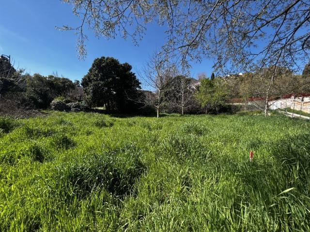 Terrain vente à Arrondissement de Draguignan, Flayosc