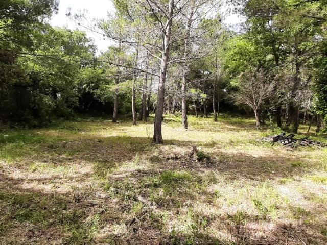 Terrain vente à Arrondissement de Draguignan, Flayosc