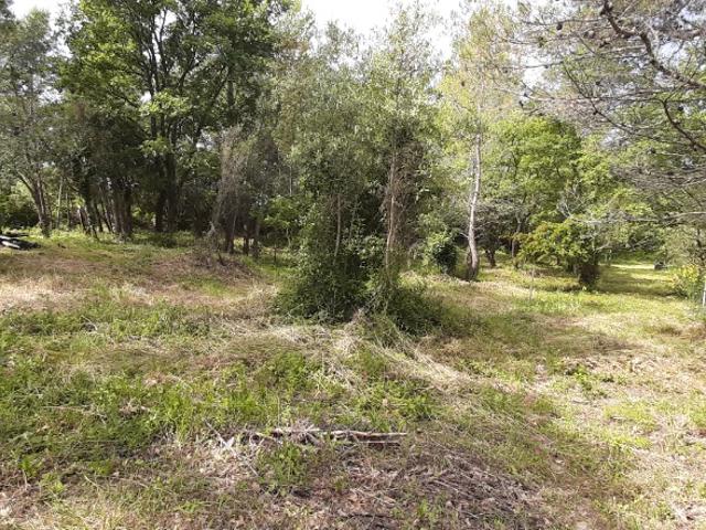 Terrain vente à Arrondissement de Draguignan, Flayosc