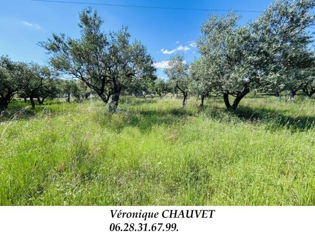 Terrain vente à Arrondissement de Draguignan, Flayosc