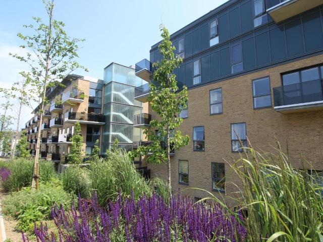 Apartment for rent in Round Hill, Brighton & Hove