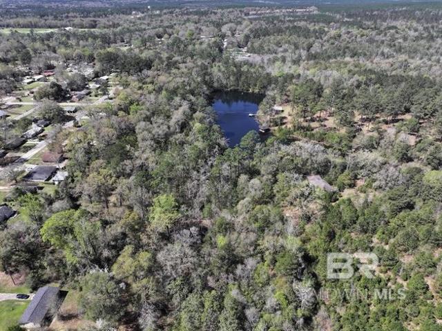 Land for sale in Brewton, Alabama