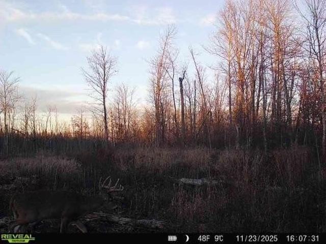 Land for sale in Hinckley, Minnesota