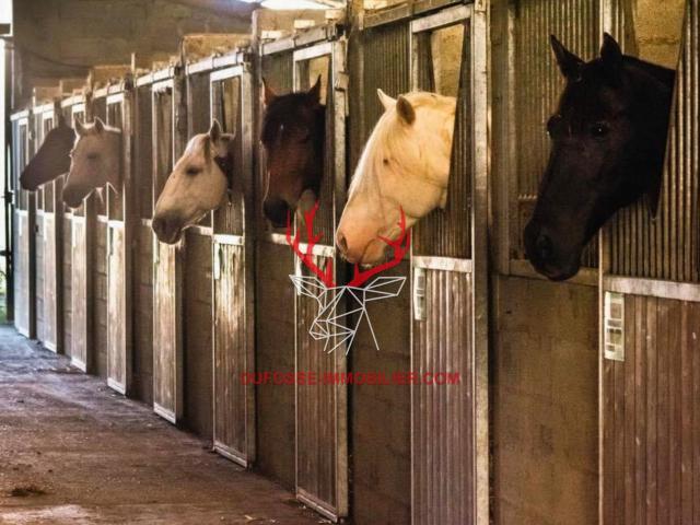 Maison vente à France métropolitaine, Fleurance