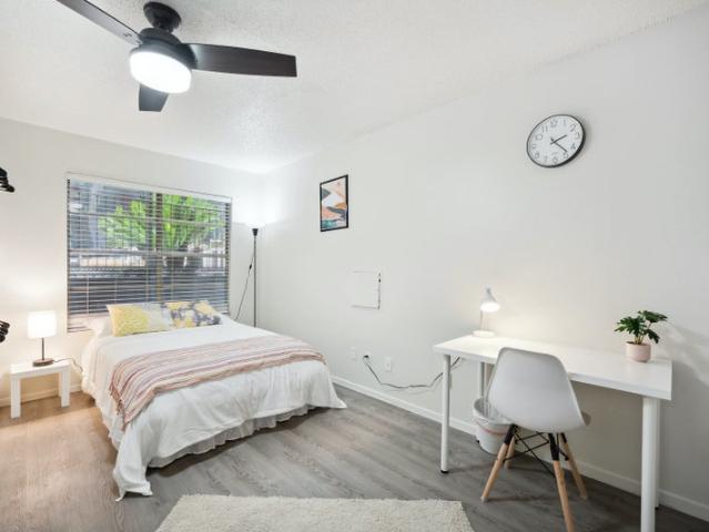Room for rent in Austin, Texas