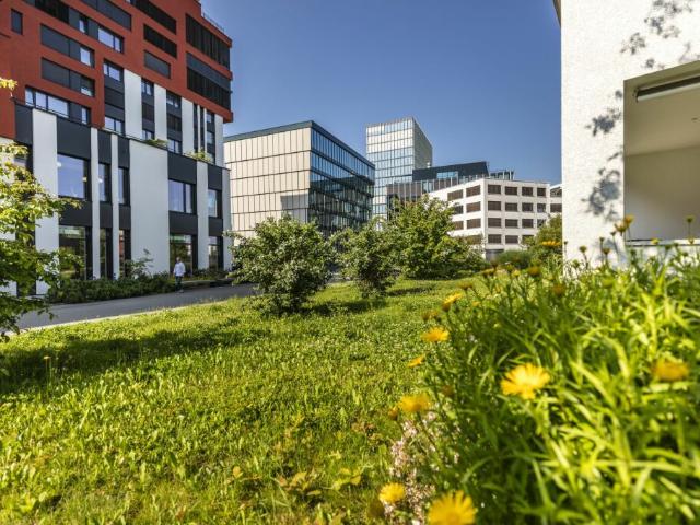 Immobilie mieten in Rotkreuz, Zug