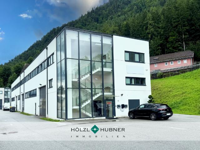 Büro mieten in Hallein, Salzburg