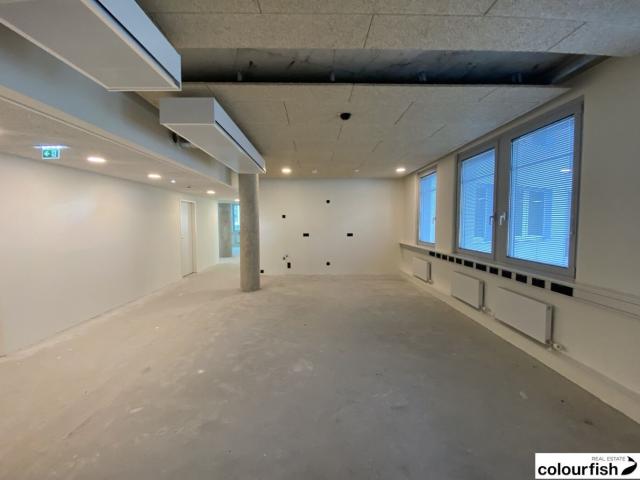Büro mieten in Seestadt, Wien