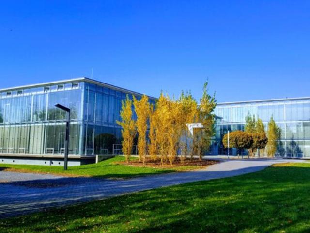 Immobilie mieten in Lustenau, Vorarlberg