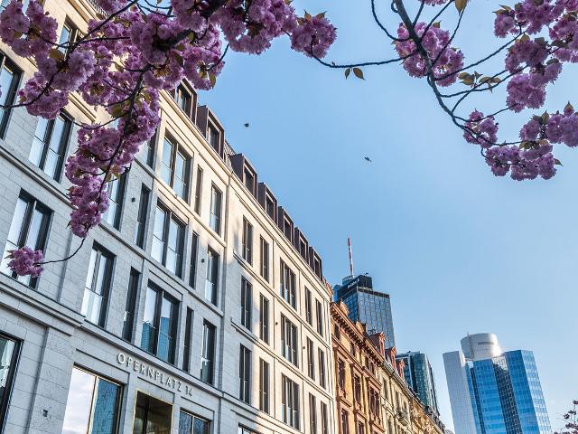 Büro mieten in Innenstadt, Sachsenhausen