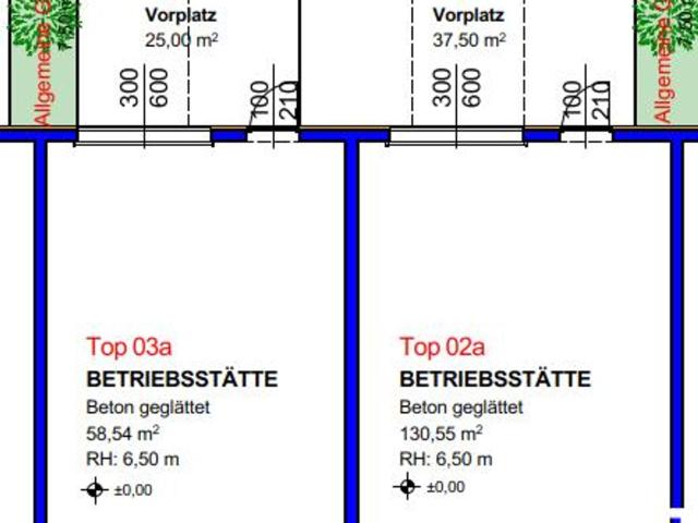 Gewerbe mieten in Perg, Bezirk Perg