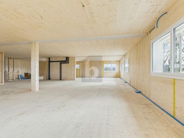 Büro mieten in Lü
