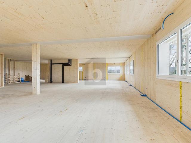 Büro mieten in Lü
