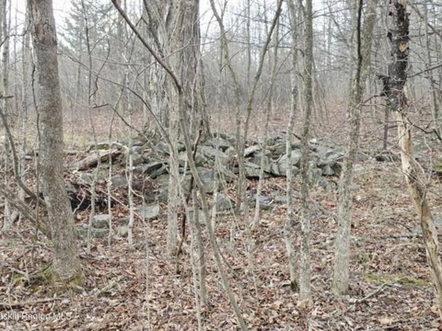 Land for sale in Cornwallville, New York