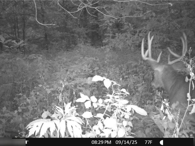Land for sale in Jameson, Missouri