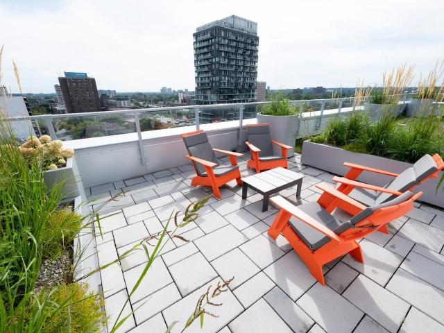 Apartment for rent in Somerset, Ottawa