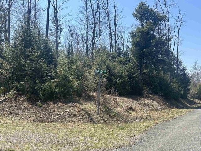 Land for sale in Davis, West Virginia