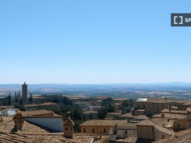 Appartamento in affitto a Ravacciano, Siena