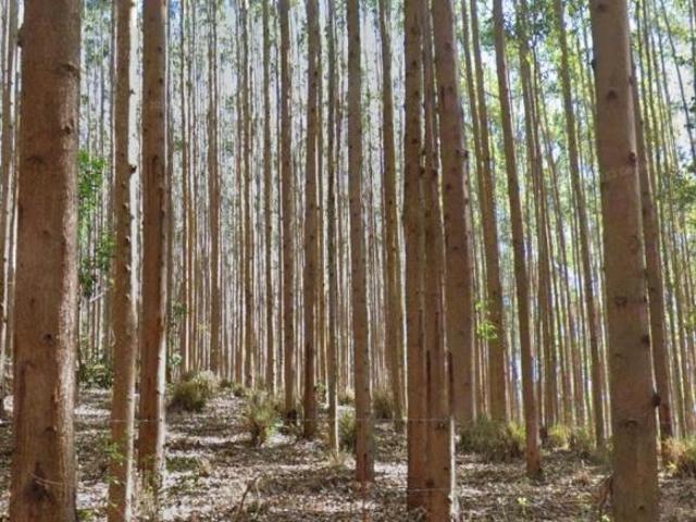 Sítio e chácara venda em Região Imediata de São José dos Campos, Região Metropolitana do Vale do Paraíba e Litoral Norte