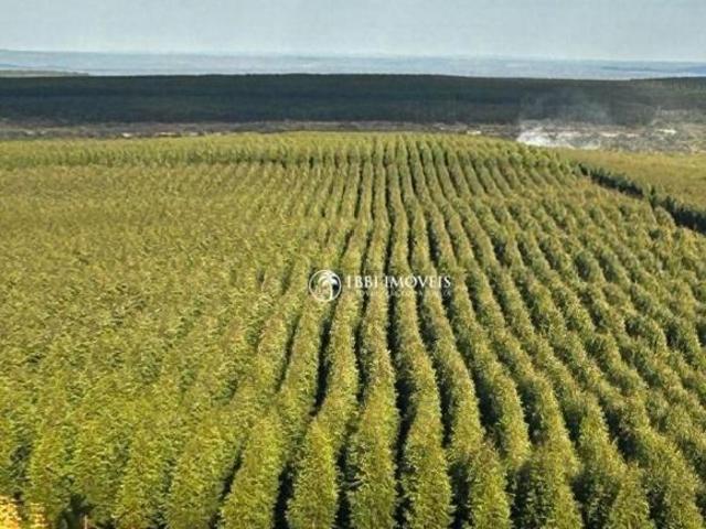 Sítio e chácara venda em Região Geográfica Imediata de Monte Carmelo, Abadia dos Dourados