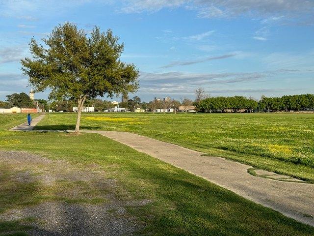 Land for sale in Port Allen, Louisiana
