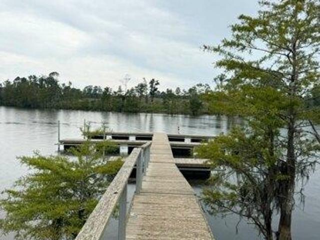 Land for sale in Florien, Louisiana